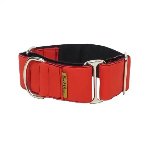 Collar Martingale para perro color Rojo