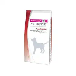 Comedero inoxidable antideslizante derocardo para gatos, 0.04 kg