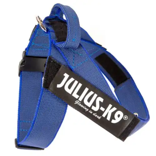 Arnés Color & Gray Julius K9 IDC azul Talla 0