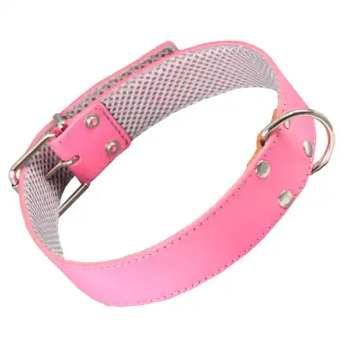 Arppe Collar de Cuero con Forro Rosa para Galgos