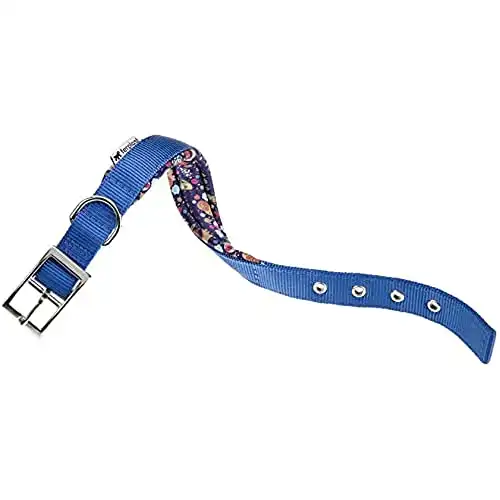 Collar Nylon Daytona C Blue para perros Ferplast, Tallas 37 - 45 Cms