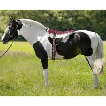 Montura De Caballo A Pelo Cob-full 101050004 Norton