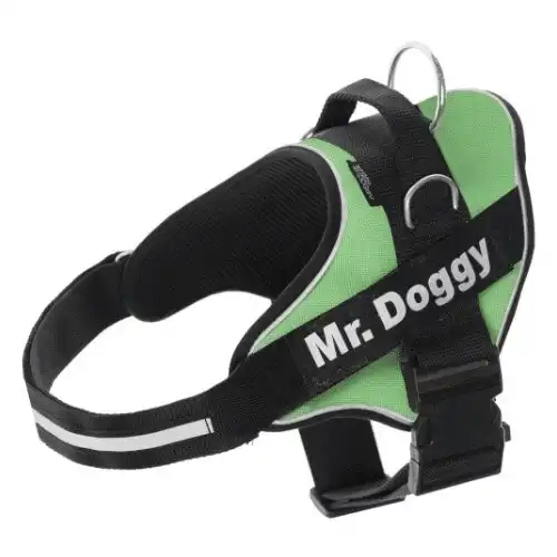 Arnés personalizado Super Doggy para perros color Verde