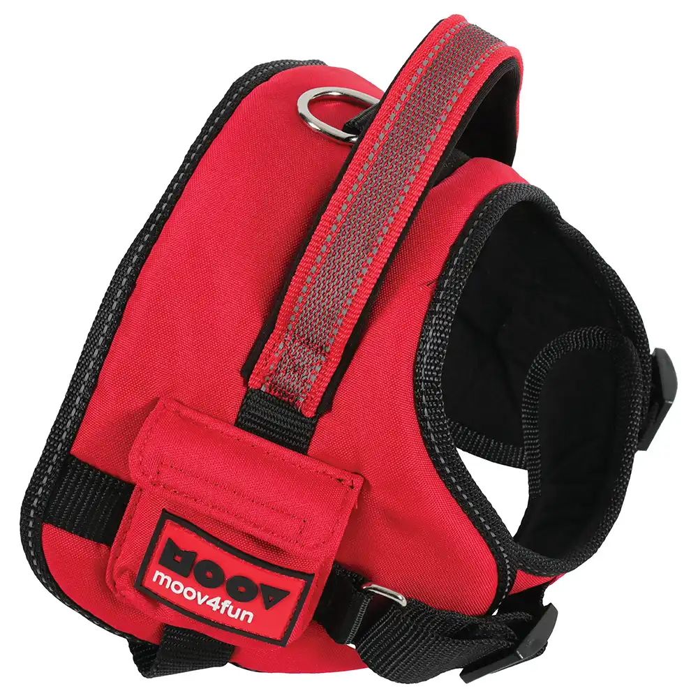 Zolux Moov Arnes Nylon S
