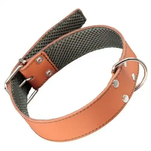 Arppe Collar de Cuero Natural para perros