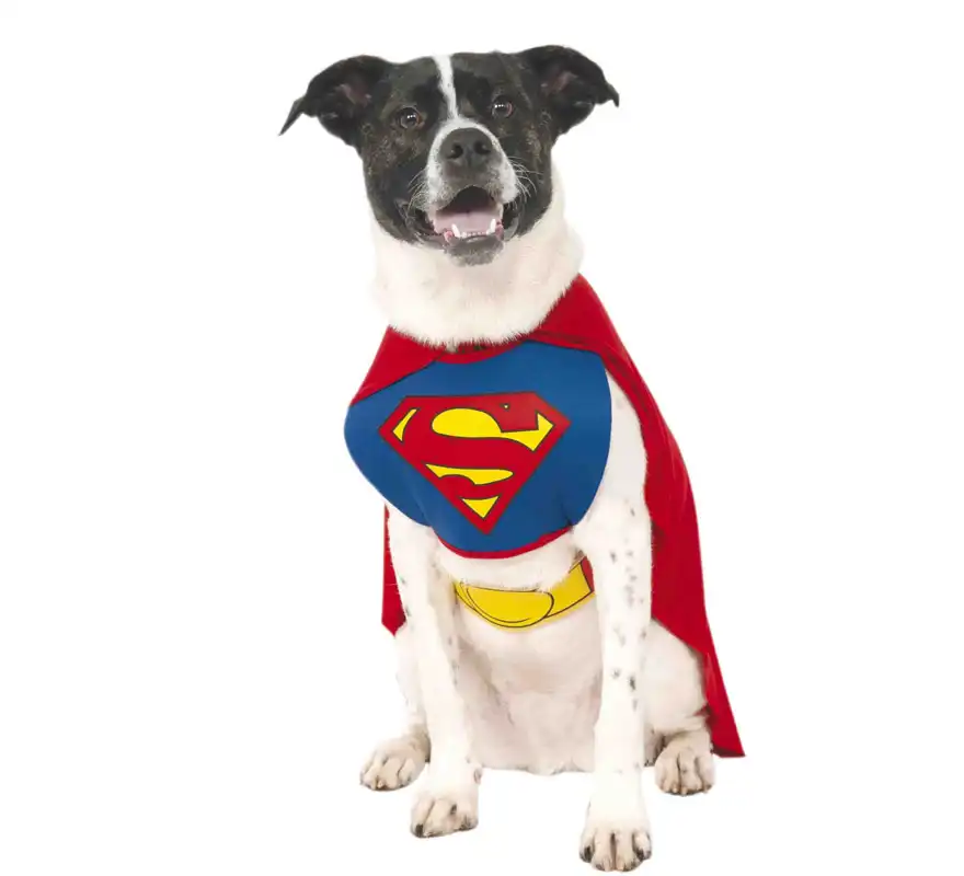 Disfraz Superman para perro