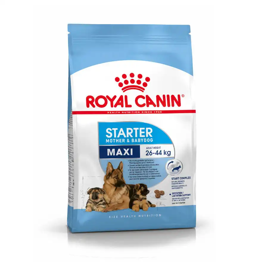 Royal Canin Starter Mother&Baby Maxi pienso para perros