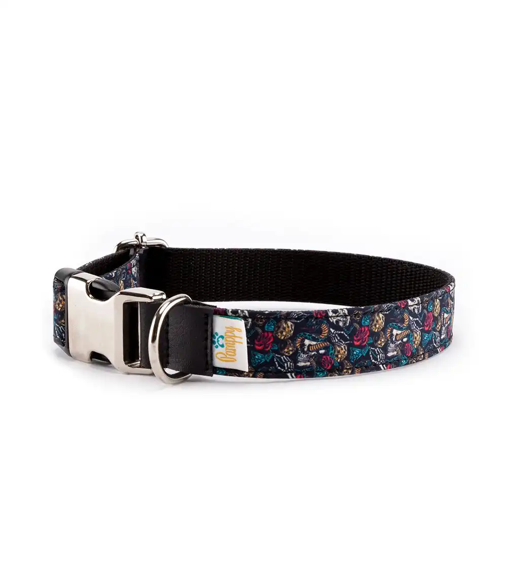 Pamppy funny evan skulls collar de algodón y poliéster multicolor para perros