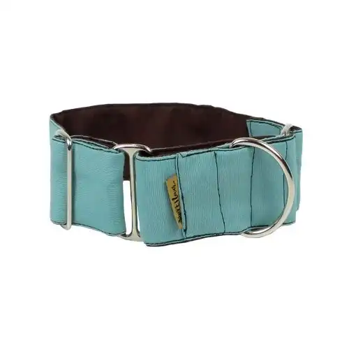 Collar Martingale Choco-menta para perros color Turquesa