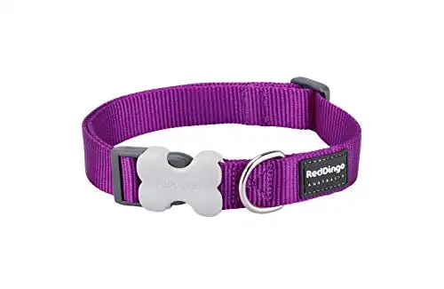 Collar Red Dingo para perros Classic Morado XL