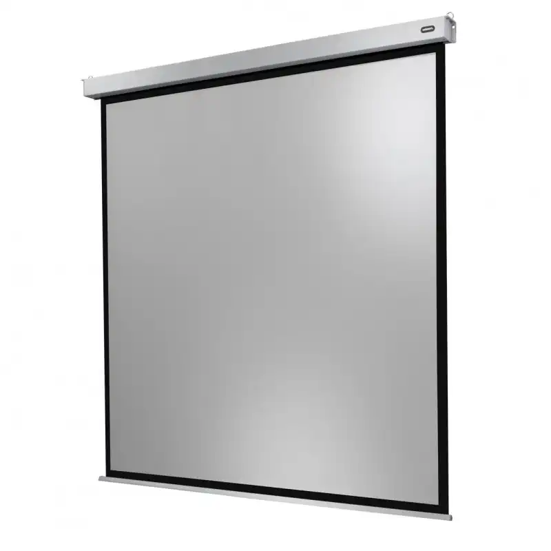 Celexon Electric Professional Plus Pantalla de Proyección Eléctrica 120x120cm