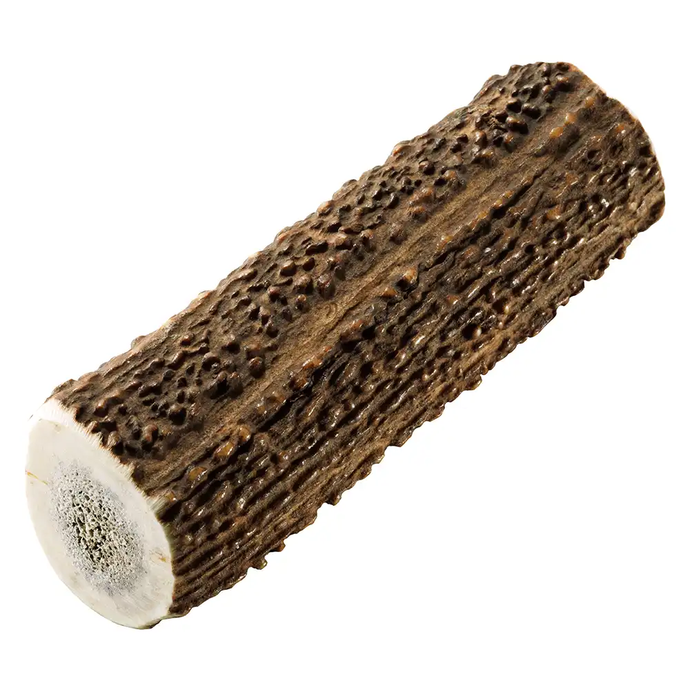 Chewies asta de cornamenta de ciervo rojo - Talla L (aprox. 120 - 160 g)