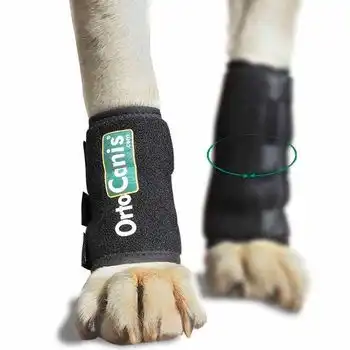 Muñequera Para Perros Con Lesiones De Tendones O Musculares