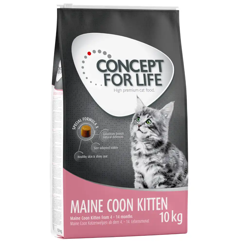 Concept for Life Maine Coon Kitten - 10 kg - Receta mejorada