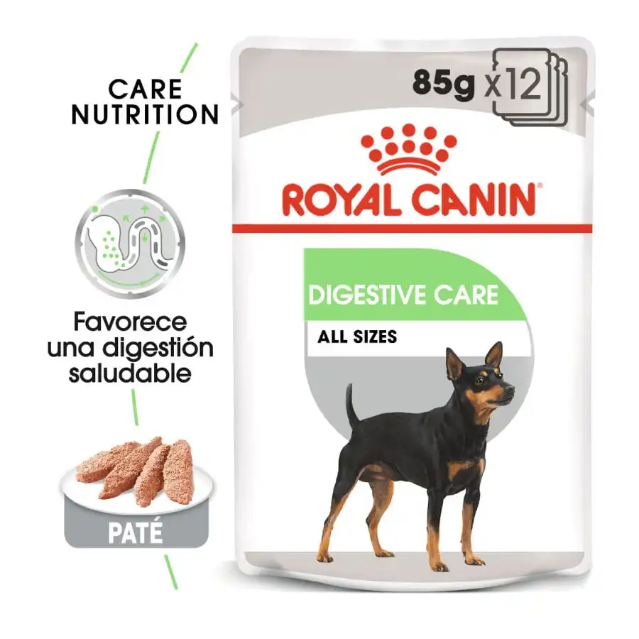 Royal Canin Digestive Care Paté sobres para perros