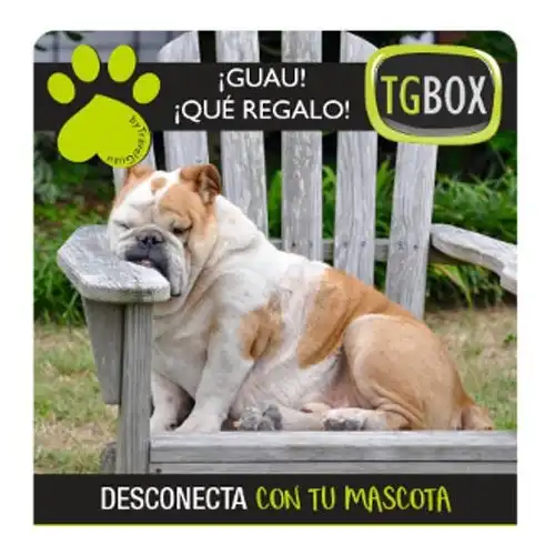 Desconecta con tu mascota TGBOX