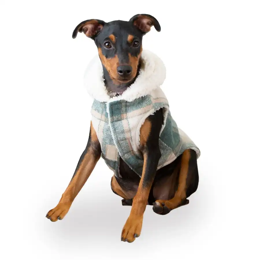 Outech Trenca Azul para perros