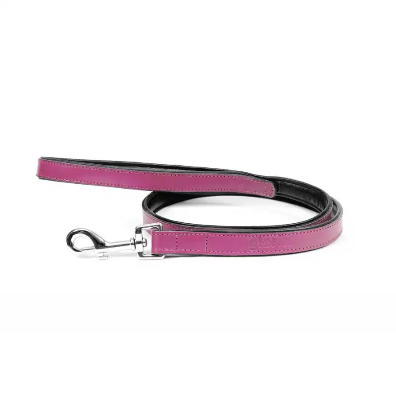 Correa Gloria Pets De Piel Acolchado Color Rosa Para Perros 1 Unidad.