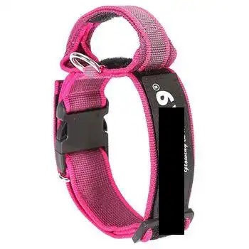 Collar Color & Gray Julius K9 IDC con asa rosa 40 mm