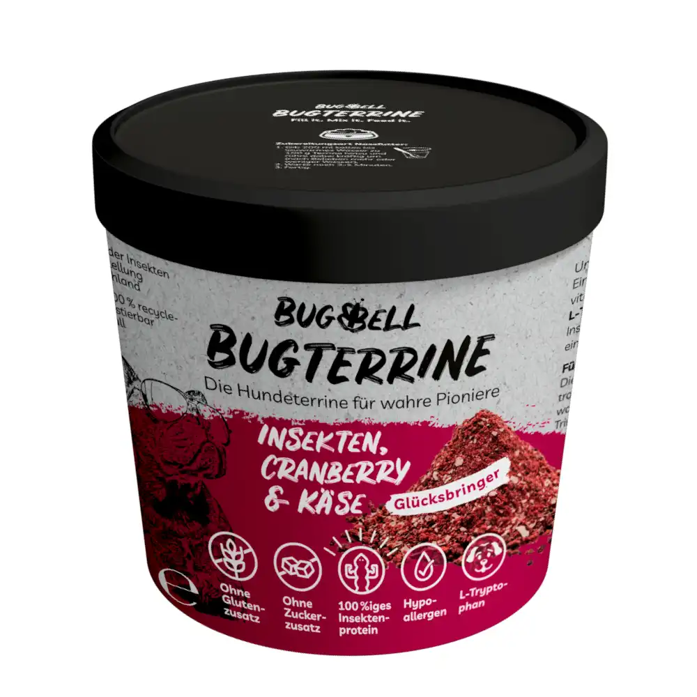 BugBell BugTerrine Insectos Adultos, Arándano y Queso - 100 g