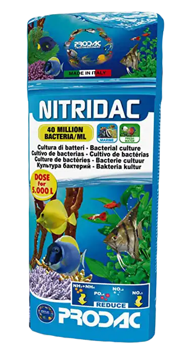 PRODAC NITRIDAC 500 ML