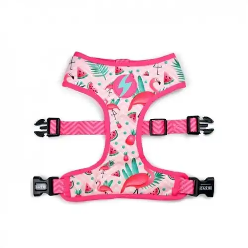 Arnés reversible Flamingo Neo Mesh para perros color Varios