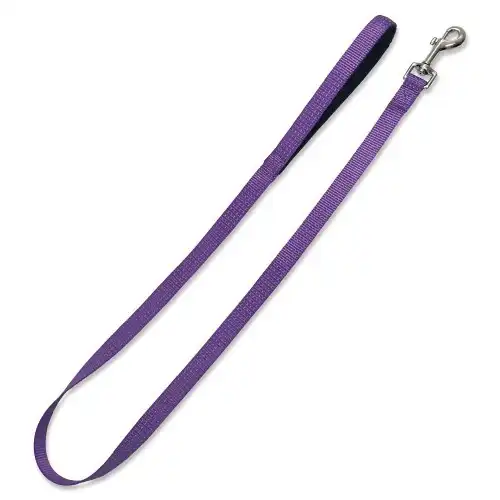 Correa de nylon para perros color Morado