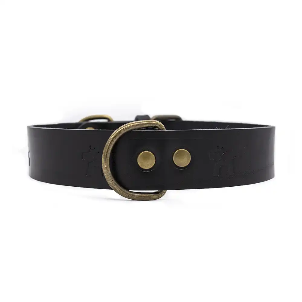 Collar de cuero premium clasic para perros color negro