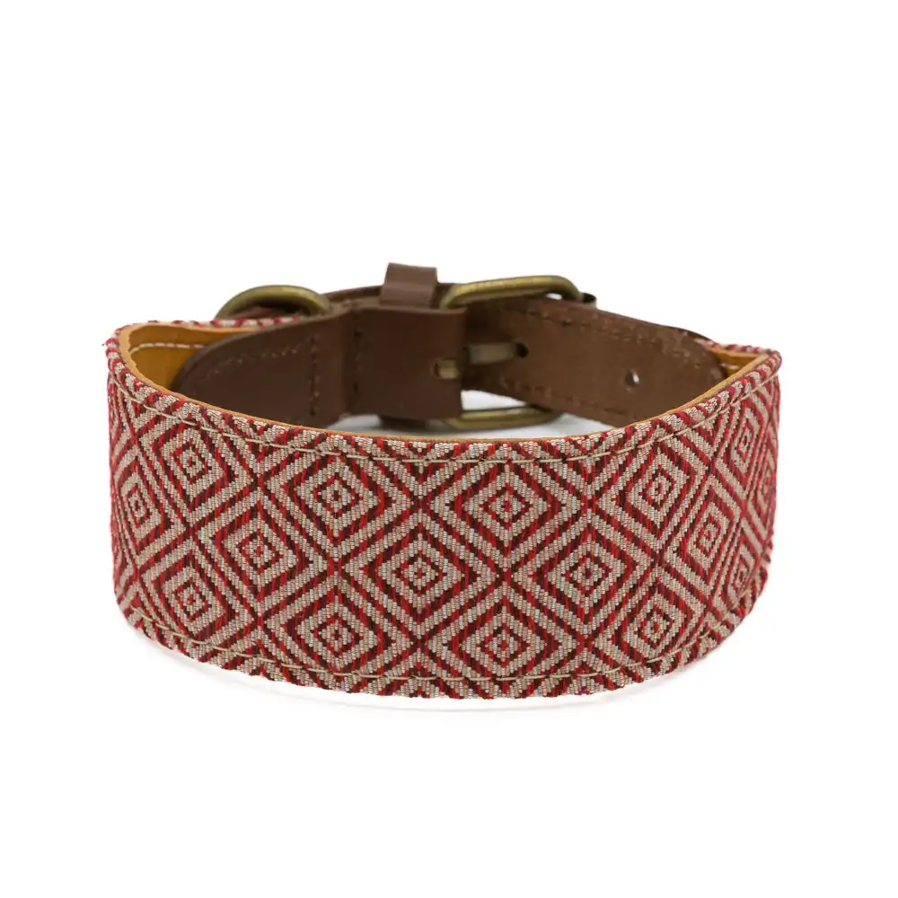 COLLAR MAMBO GALGO - S