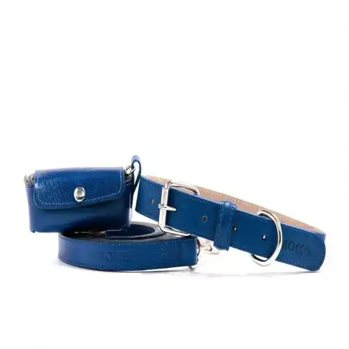 Loyal set collar rocco azul para perros