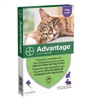 Ventaja 80 - 4 Pipetas Antiparasitarias - Para Gatos Y Conejos De 4 Kg Y Más