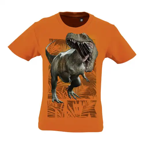 Camiseta Niño Rex color Naranja