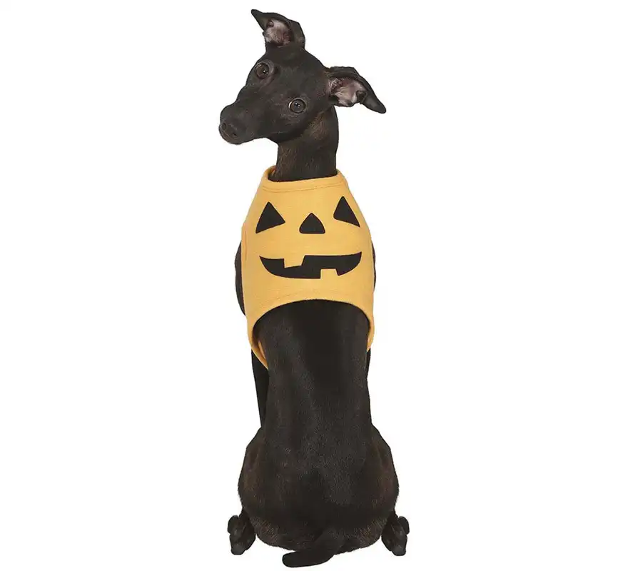 Disfraz de Calabaza Halloween para perro