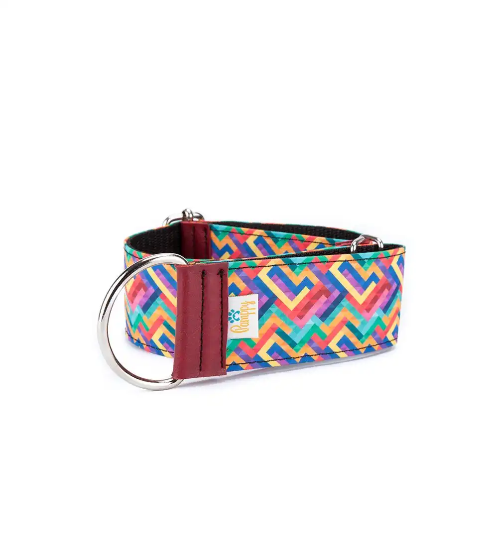 Pamppy galgo speedy pixel collar regulable multicolor para perros