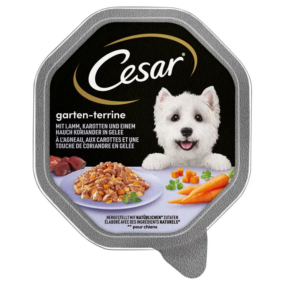 Cesar en tarrinas 14 x 150 g - Cordero, zanahorias y cilantro en gelatina